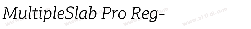 MultipleSlab Pro Reg字体转换
